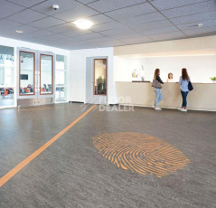Forbo Marmoleum Acoustic 33048 graphite фото 2 | FLOORDEALER
